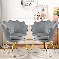 CzloloDirect Velvet Cloud Accent Chairs Set of 2 - Upholstered with Golden Metal Legs, Comfy Side Chairs for Living Room, Bedroom, Vanity (Light Grey)