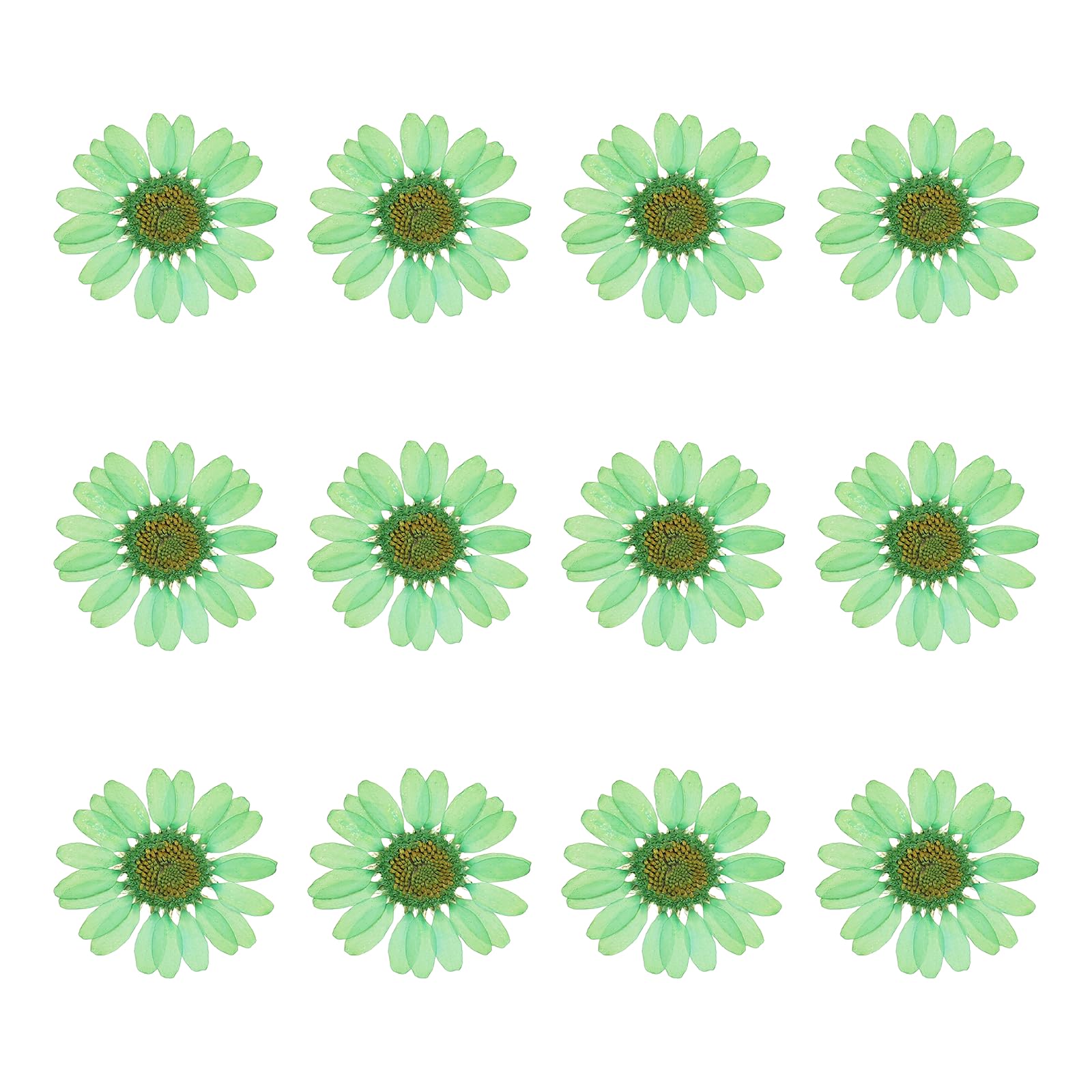 sourcing map 12Pcs Dried Pressed Flowers, 1-1.2" Colorful Dried Pressed Chrysanthemum Flowers Bulk for Nail Art Resin Jewelry Candle Card Making Scrapbook Phone Case Decoration, Dark Green