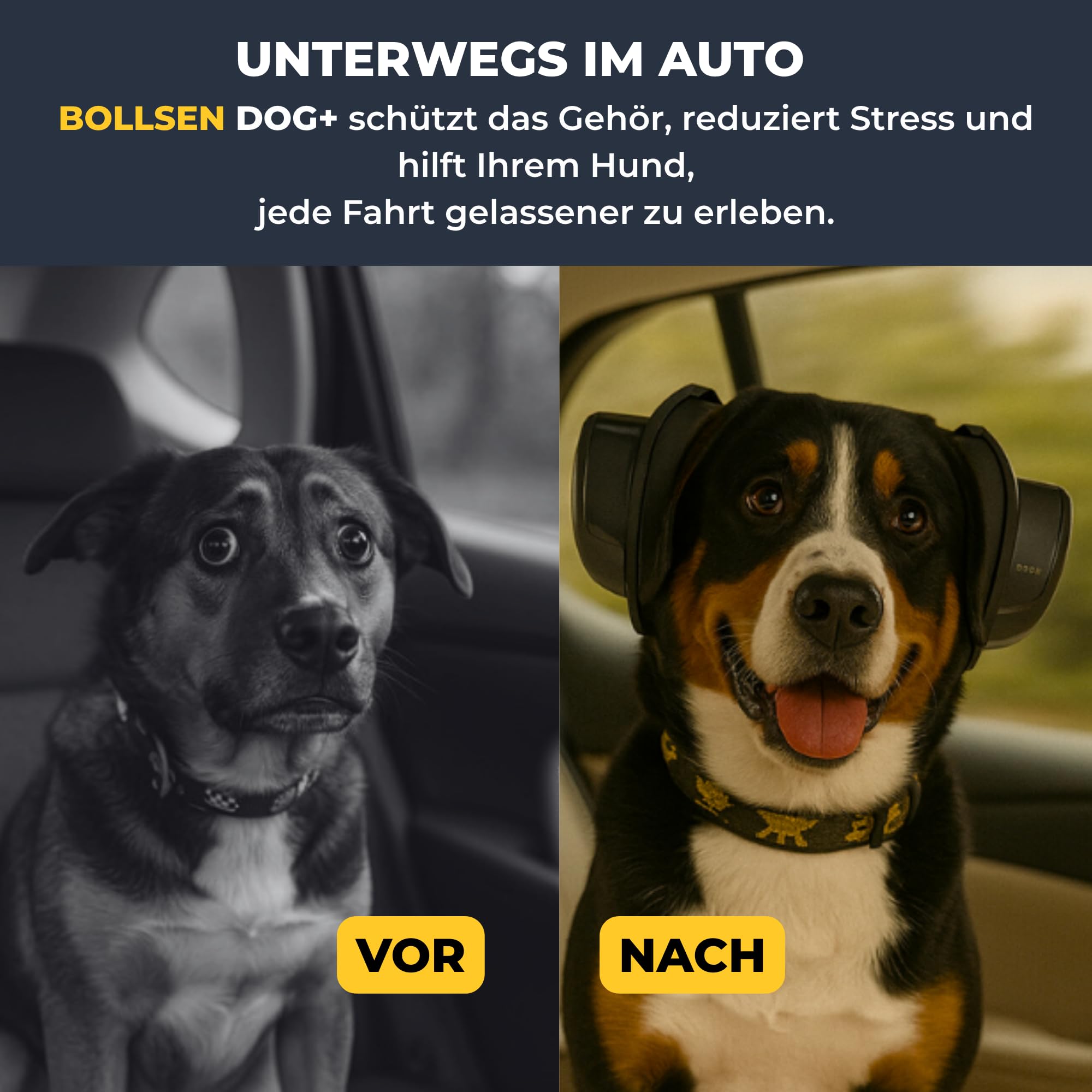 BOLLSEN Dog+ Gehörschutz für Hunde | Verstellbarer Ohrenschutz & Lärmschutz für alle Hunderassen, reduziert Geräusche um ca. 27 dB – ideal bei Silvester, Gewitter & Arbeit (M)