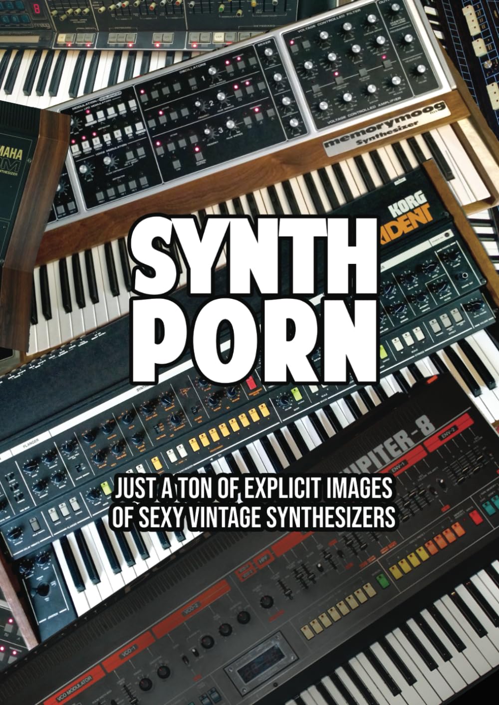 Synth Porn - Just a ton of explicit images of sexy vintage synthesizers - photo book