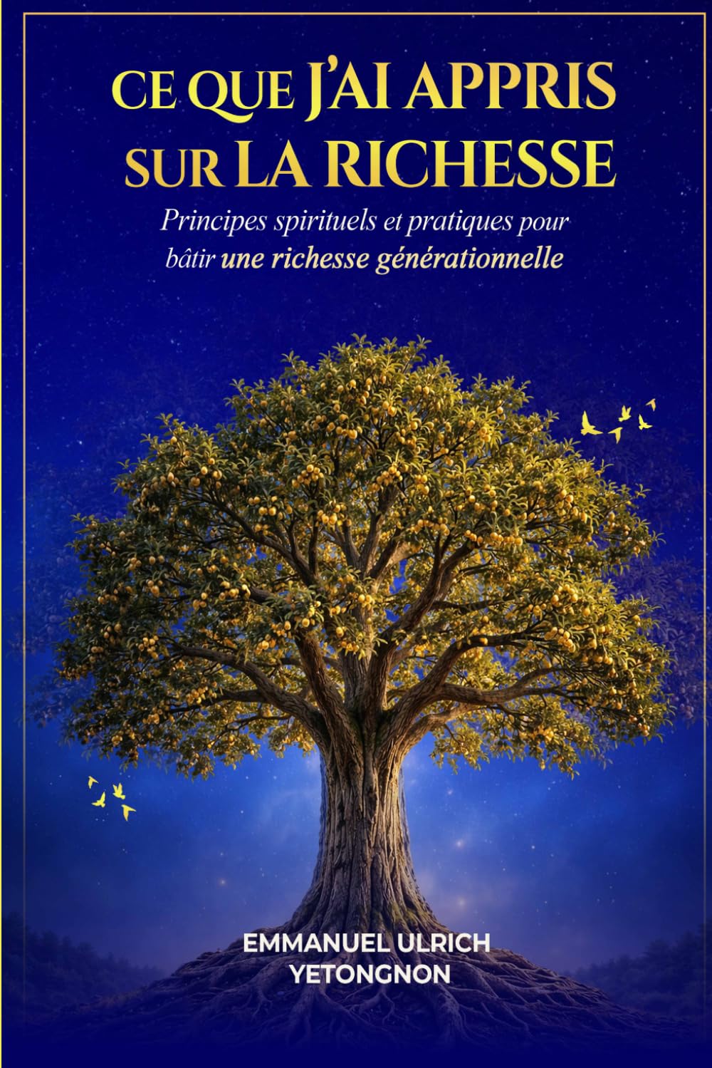 Ce que j’ai appris sur la richesse: Principes spirituels et pratiques pour bâtir une richesse générationnelle