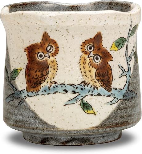 Japonés Yunomi Taza de té búho Kutani yaki (cerámica)