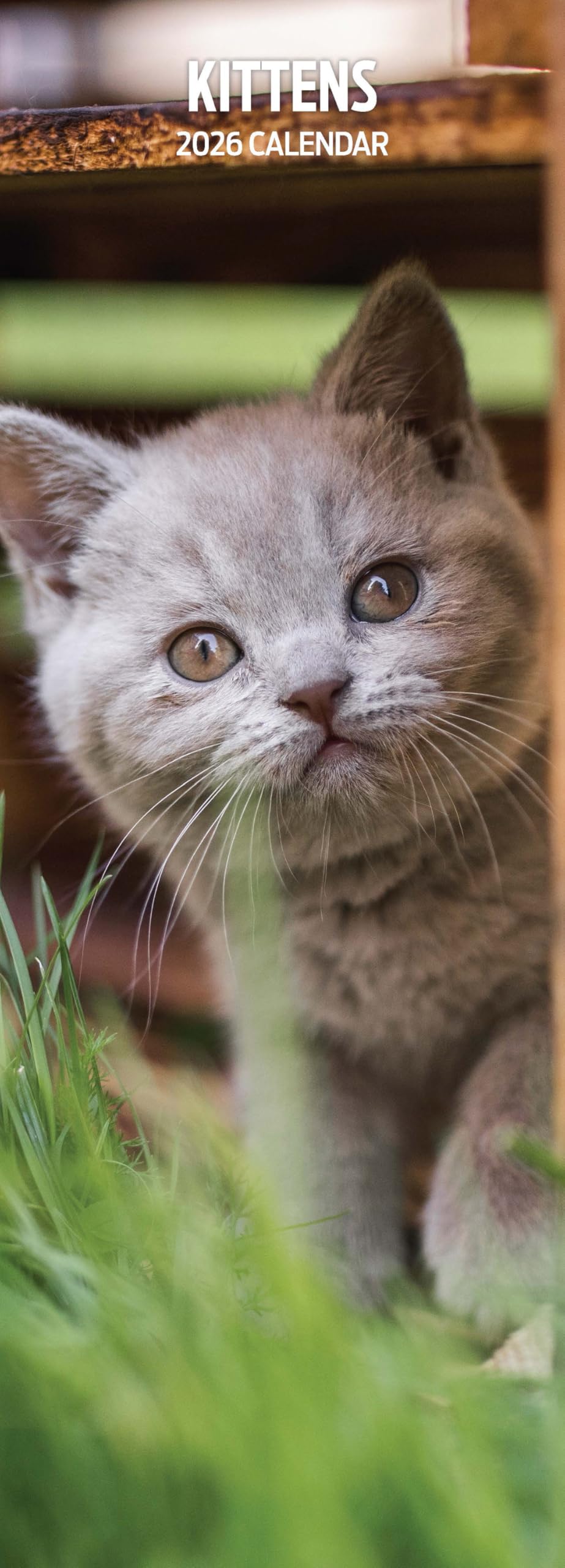 Kittens 2026 Slim Calendar