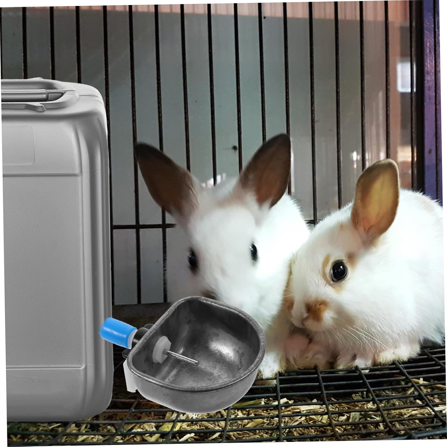 BESPORTBLE 6pcs Bunny Water Feeder Drinking Bowls Rabbit Watering Bowl Made of Stainless Steel Easy to Use Store