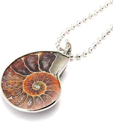Charm Handmade Natural Conch Fossil Ammonite by Silver Wrapped Pendant Necklace 1 PCE.