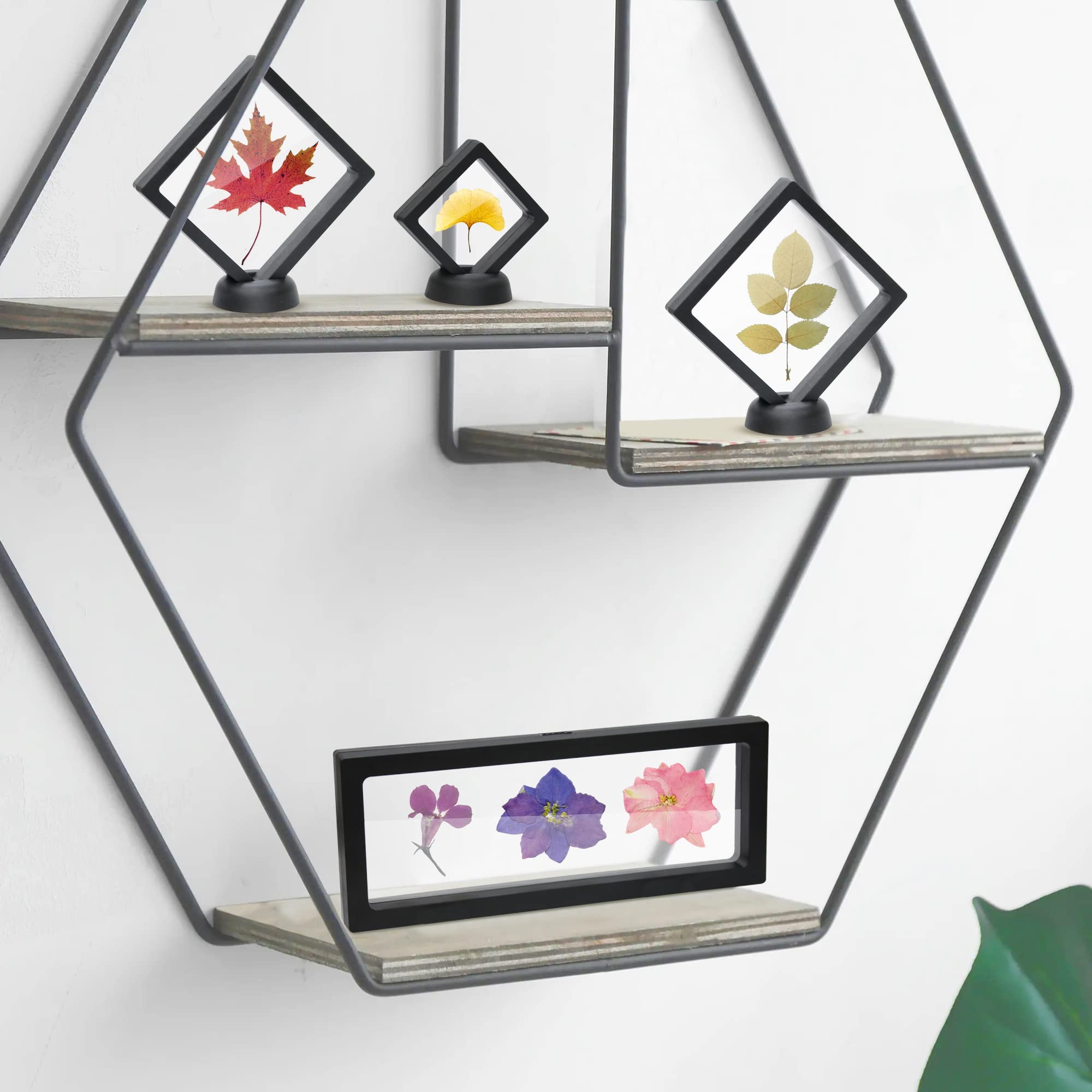 Frame Floating Display Coin Holder Jewelry Display Stand Black Floating Display Case with Different Size 9 Pcs