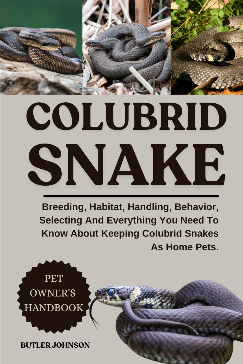 COLUBRID SNAKE: Breeding, Habitat, Handling, Behavior, Selecting And Everything You Need To Know About Keeping Colubrid Snakes As Home Pets.