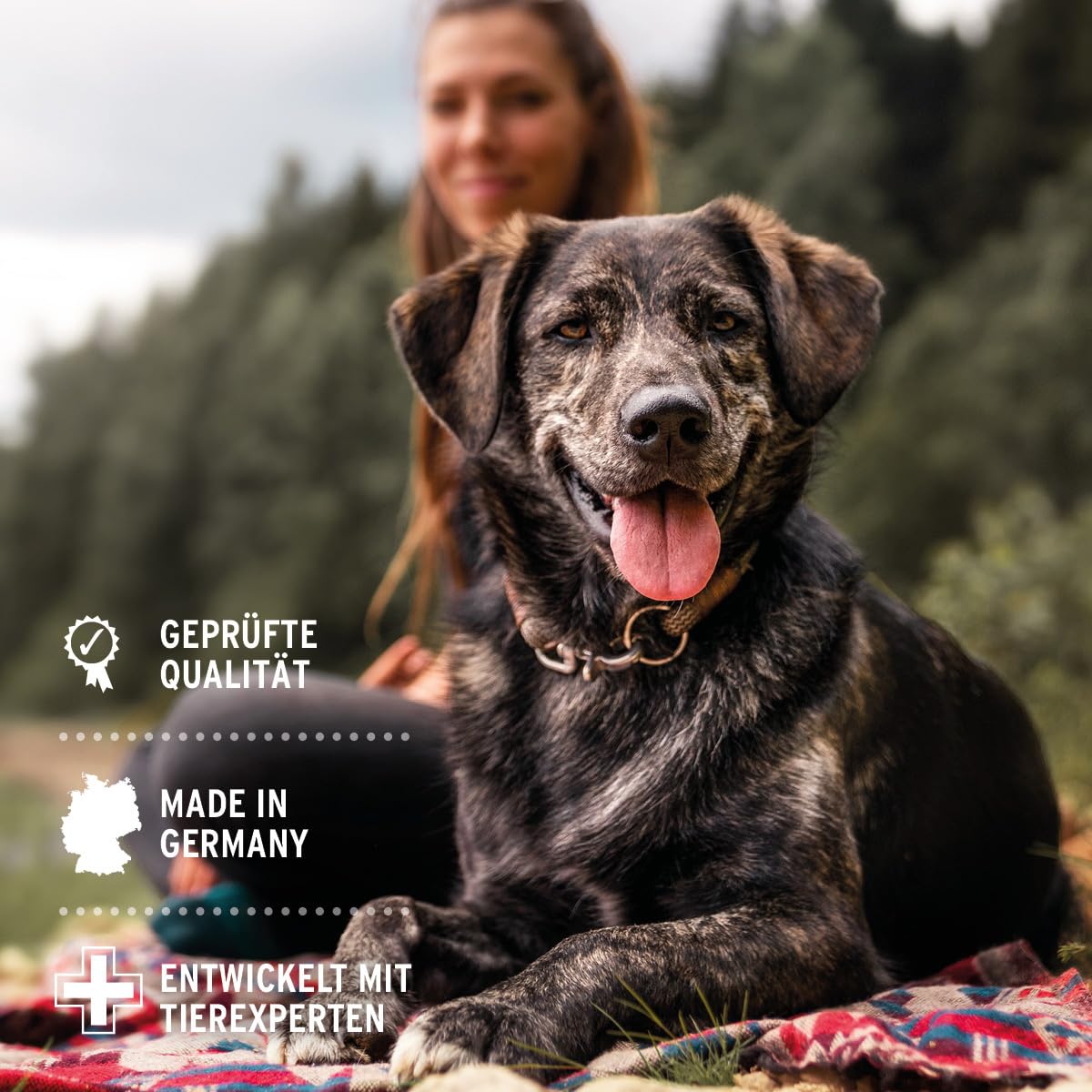 AniForte Wurm Kraut W-Liquid Gotas líquidas - alternativa natural para perros, gatos, mascotas, apoya y armoniza el estómago después de las infestaciones de gusanos, fabricado en Alemania, 50 ml