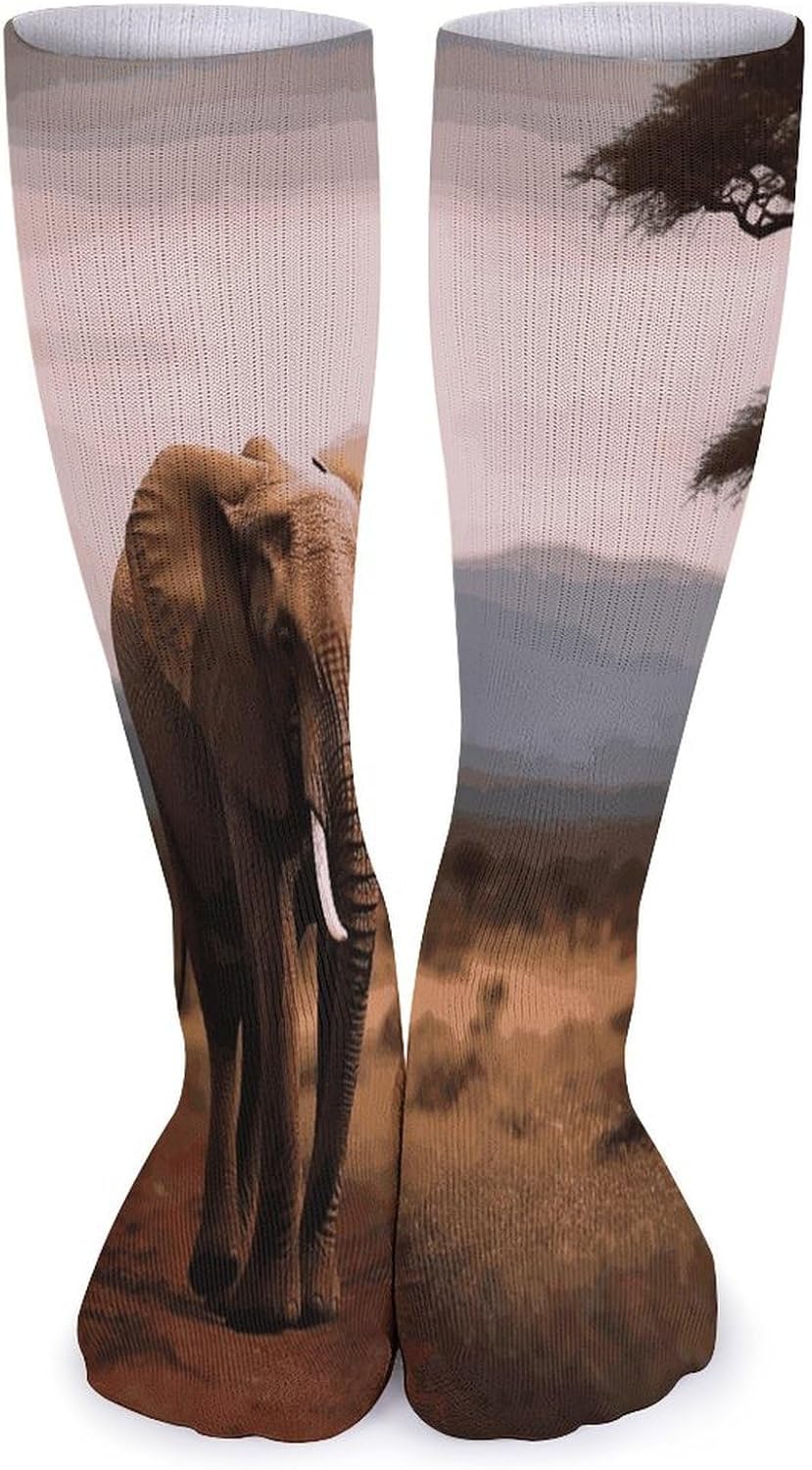 Walking Elephant Knee High Socks Cozy Knee High Socks Soft Mid-Length Sock for All Seasons Daily Wear Adult