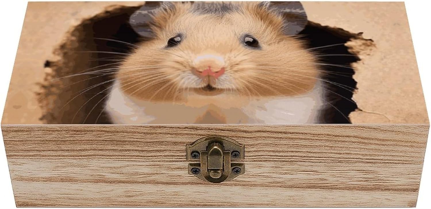 Wooden Keepsake Box with Lid Rustic Memory Chest Retro Decorative Wood Box