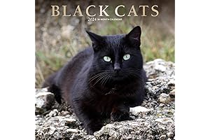 Browntrout Black Cats 2024 Wall Calendar