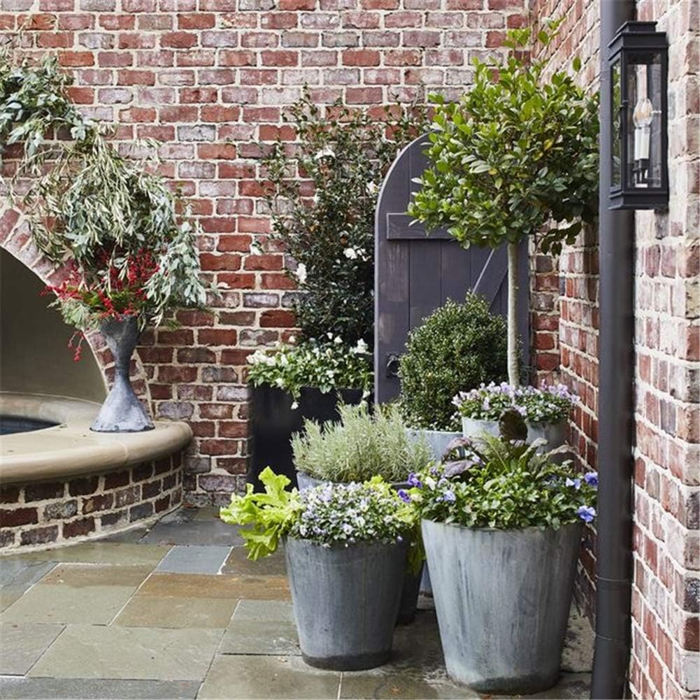 DewberrySpray 5pcs Berry Spray Americana／Picks Faux Berry 30.7" Blossom Tall Plant Outdoor Floral Arrangement Decoration Berries Crafts Home Decor Holiday Wedding Parties Primitive(White)