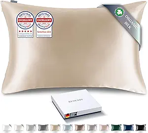 Premium Silk Pillowcase 100% Organic Mulberry Silk, 22 Momme, Grade 6A - Oeko-Tex Certified in Germany - Luxury for Hair & Skin, 1 Piece (Queen Size 20x30 Inches, Champagne)