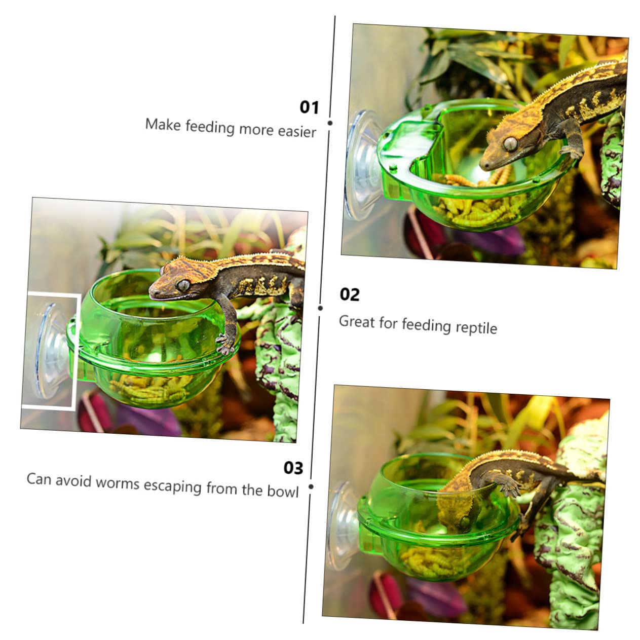 SUPVOX 8pezzi Mangiatoia per Rettili con Ciotole per Lizard e Corrosione e Idratazione