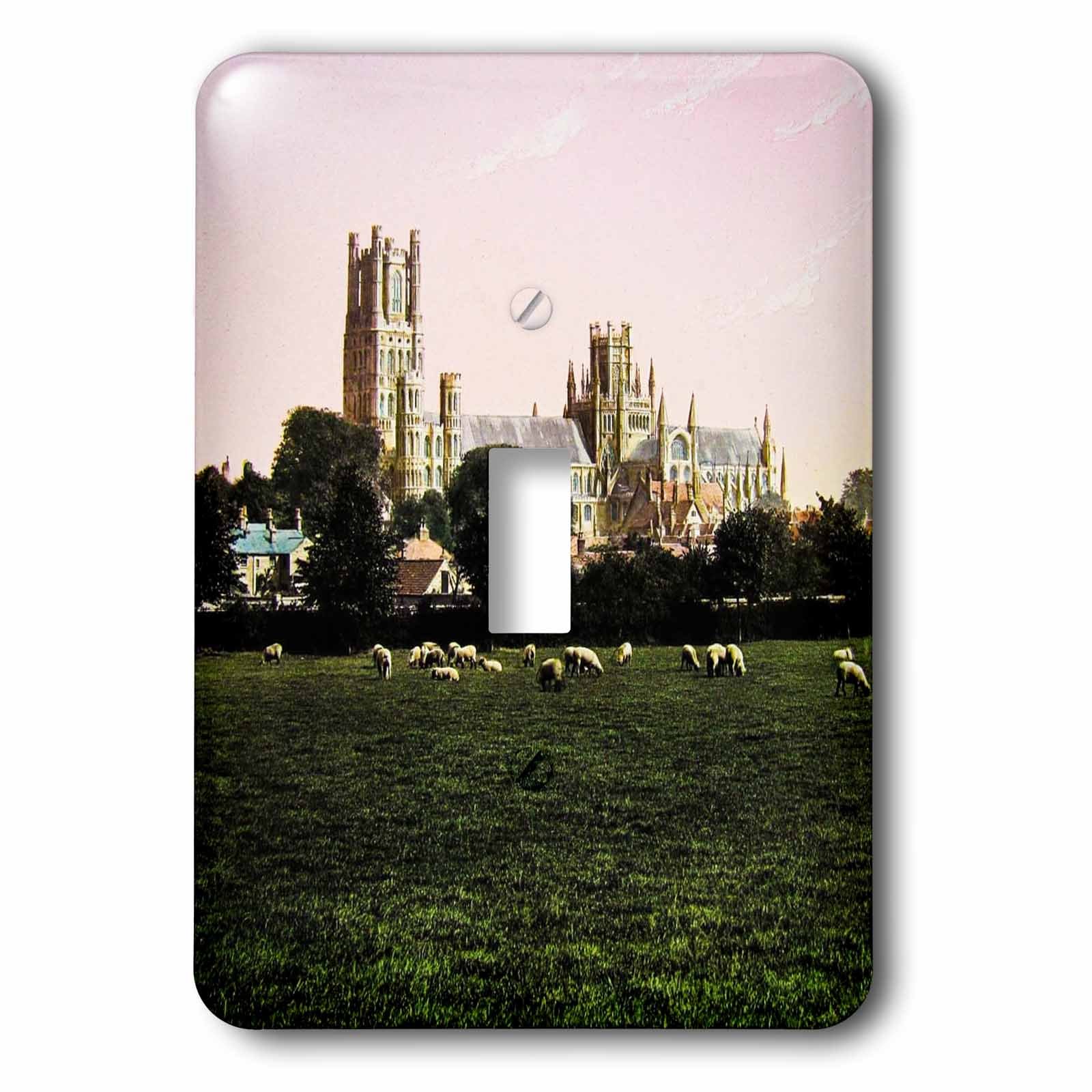 Interrupteur simple décor paysage anglais Cambridgeshire pour salon rétro 3dRose