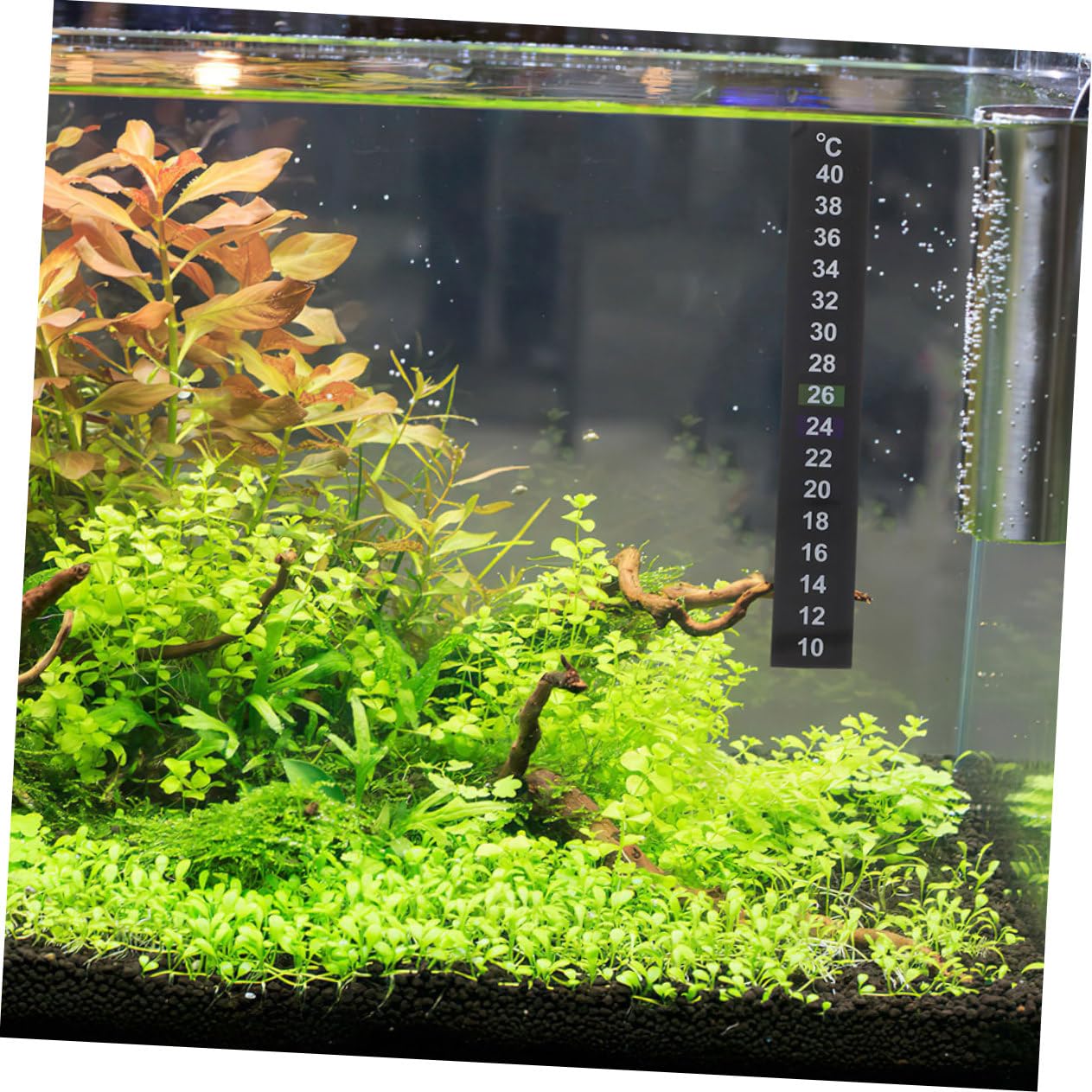HANABASS 12pièces Thermomètre Adhésif Pour Aquarium Bande De Température Digitale Pour Poissons Autocollants Pratiques Et Colorés Pour Contrôle Température Votre Réservoir