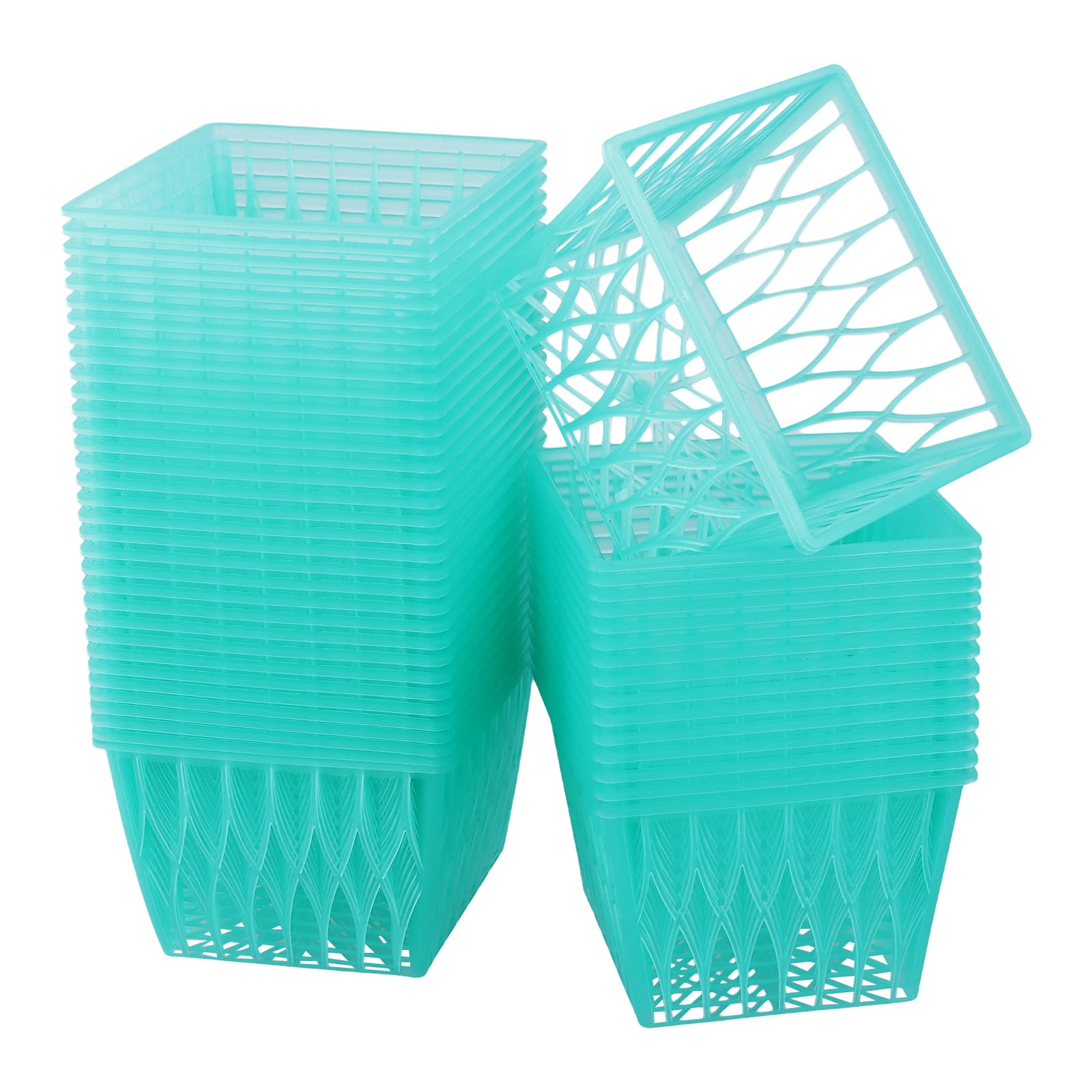 Panier à baies plastique anti écrasement pour fruits marché fermier