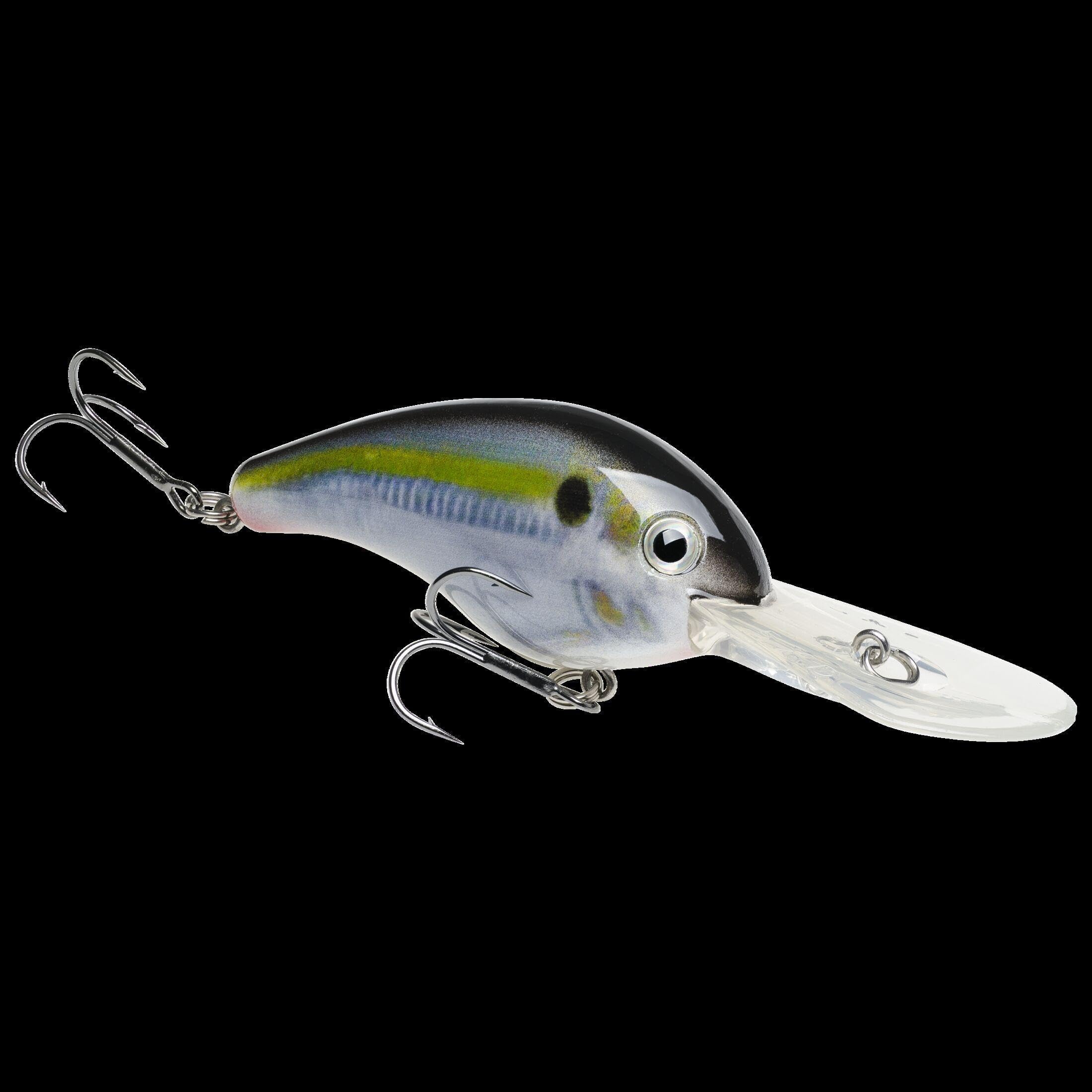 5xd crankbait Clearance