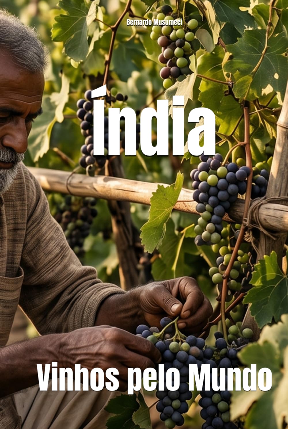 Índia: Vinhos pelo Mundo (Wines of the World)