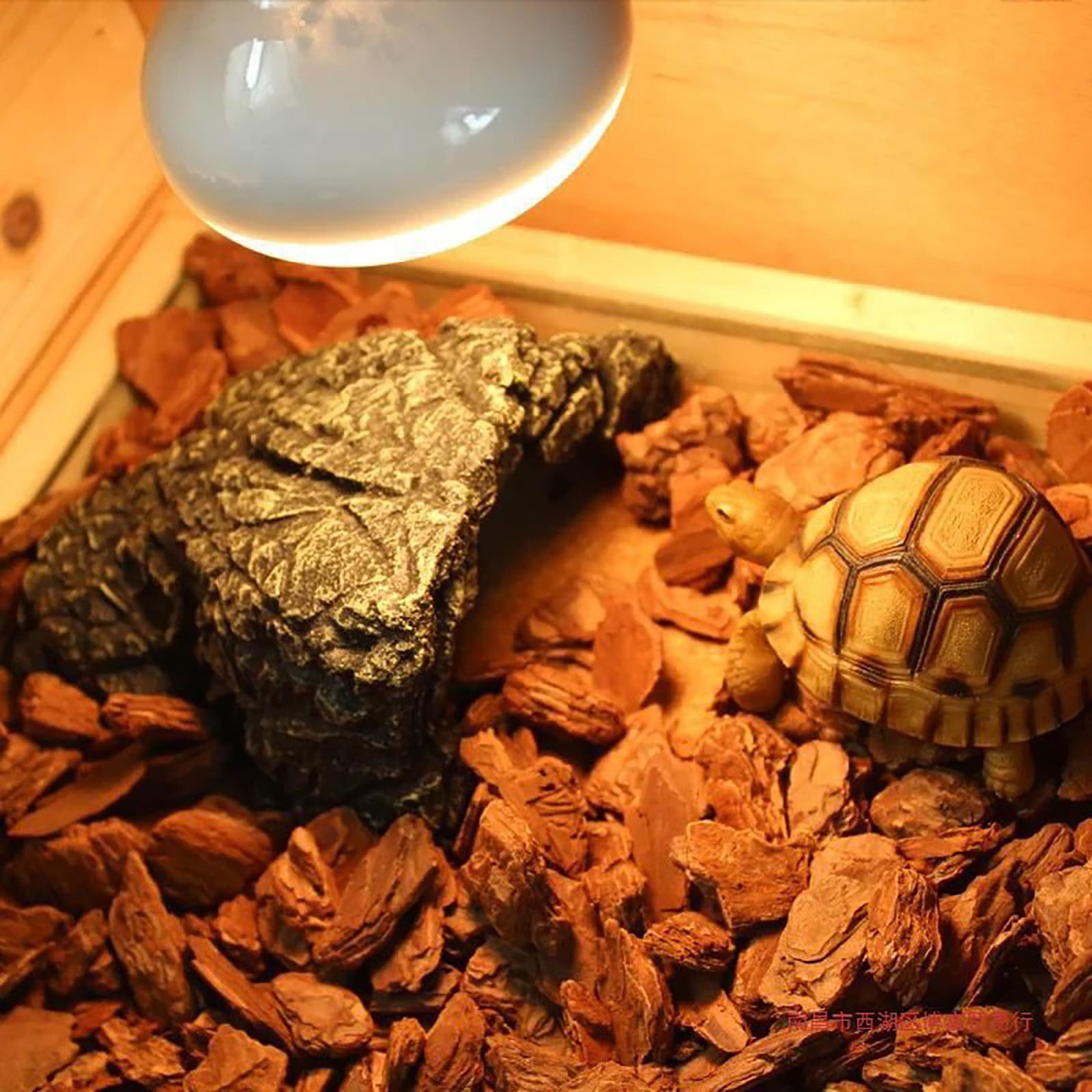 Casa de tortuga de madera, terrario de reptiles para lagartos, camaleones y gecos, hábitat interior y exterior para mascotas pequeñas