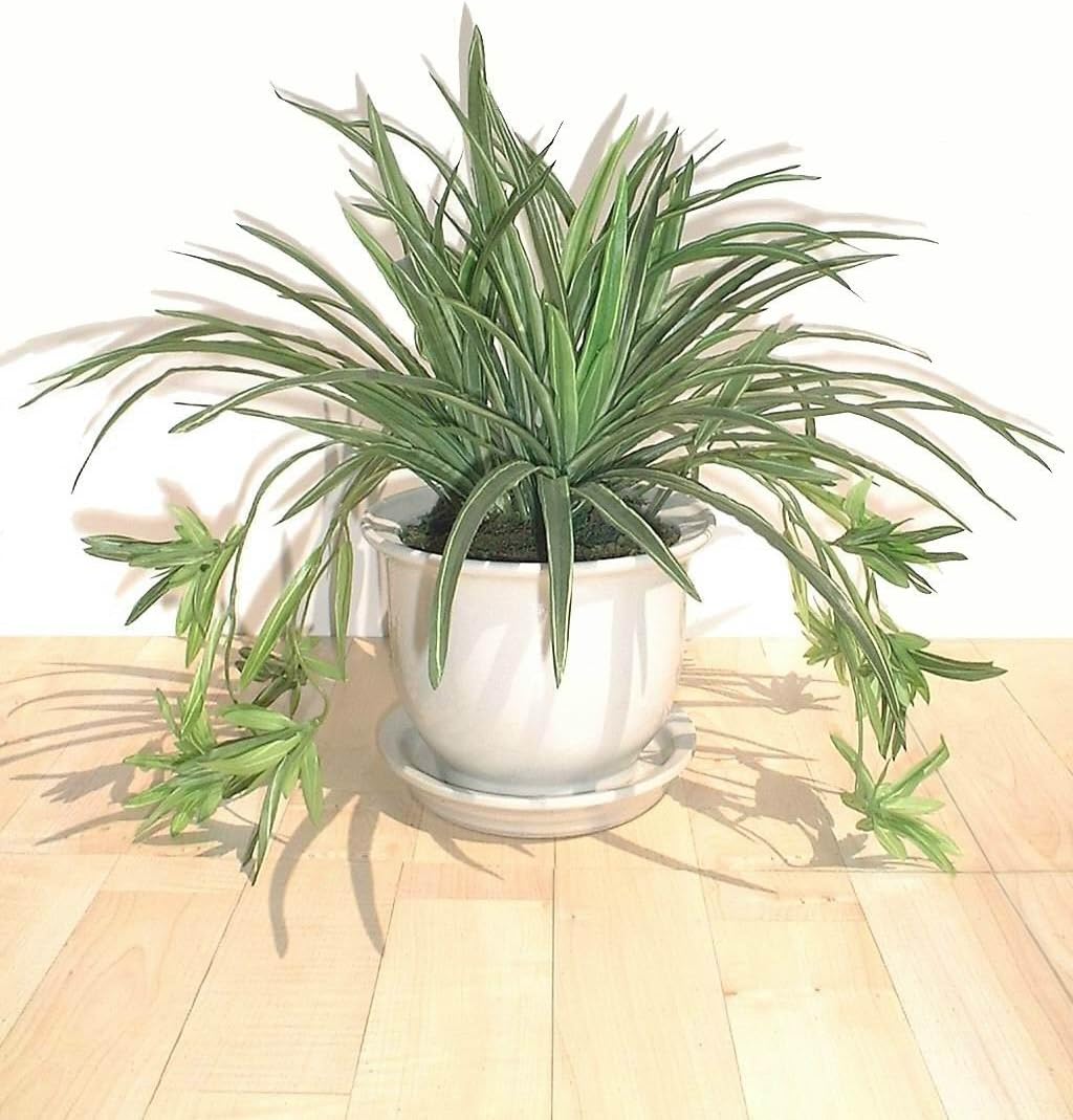 Neuhaus Decor 14" Spider Plant, Artificial Bush (Without