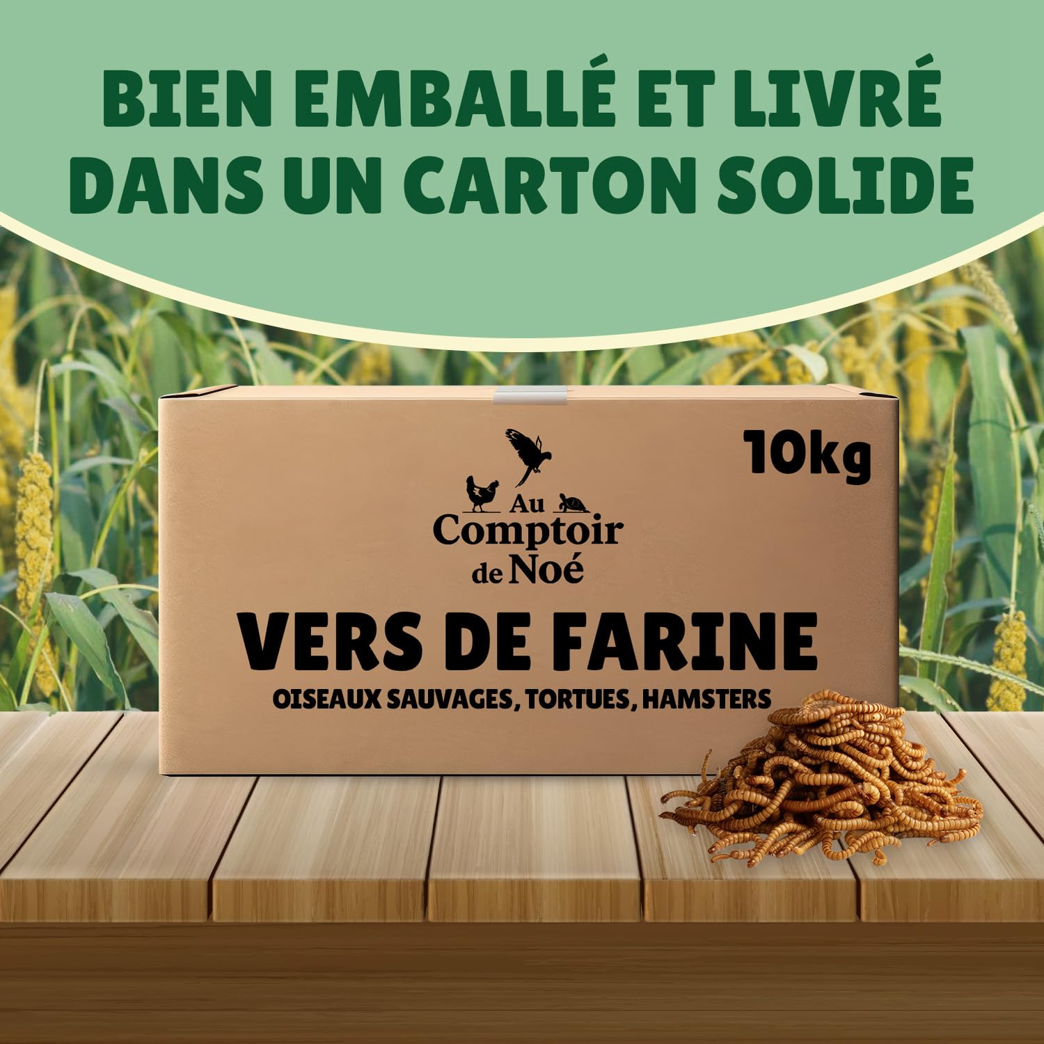 vers de Farine séchés 10kg Au Comptoir de Noé, 100% Naturel, Riches en Protéines et Bonnes Graisses, Alimentation pour Poissons, Oiseaux Sauvages, Tortues, Hérissons, Rongeurs et Reptiles
