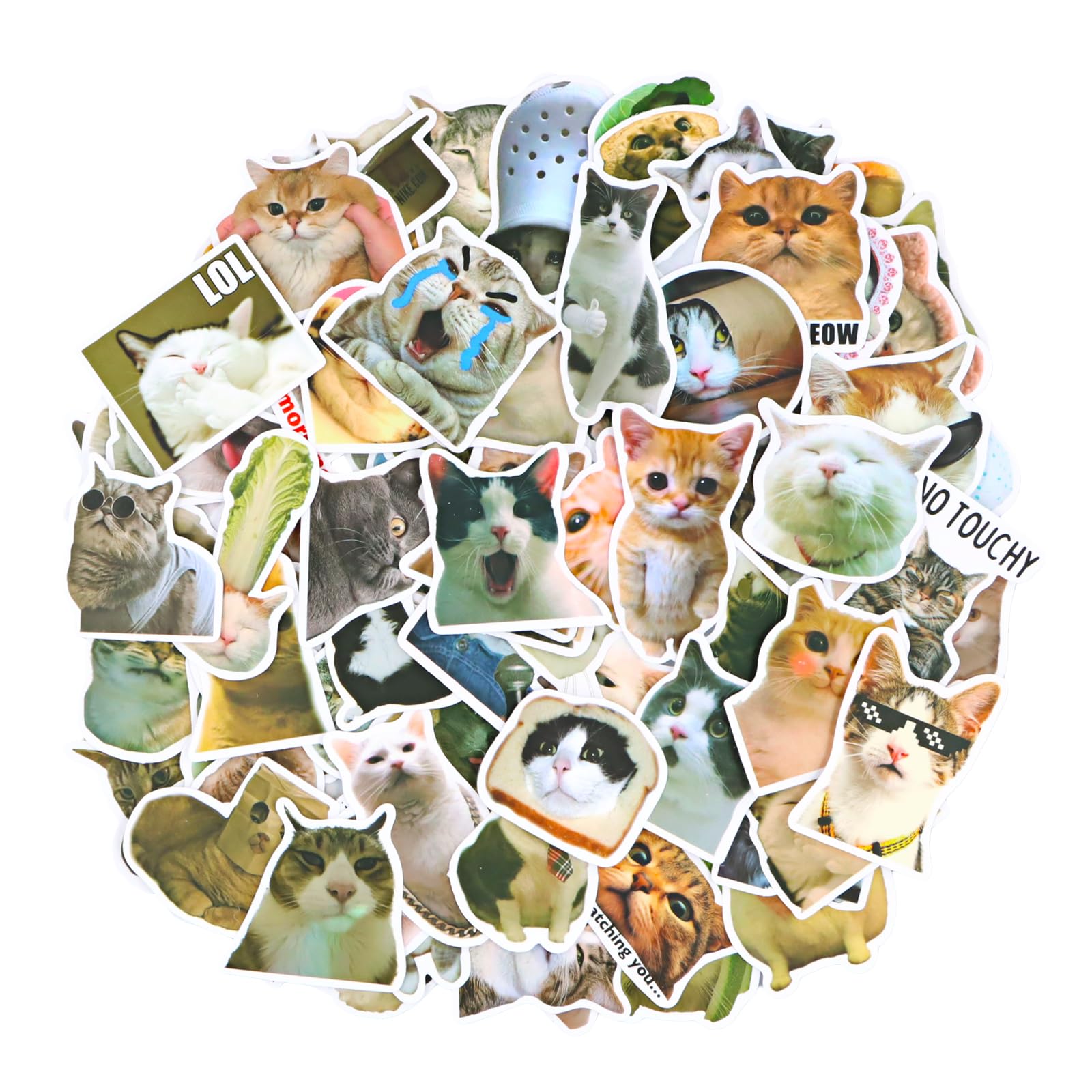 Litinliv 100 modelos Pegatinas de Gato,Pegatinas para Gatos Lindos, Pegatinas Aesthetic, Stickers Divertidas de Gato,Pegatinas Moto,Divertidas Pegatinas De Álbumes De Recortes Para Botella De Agua