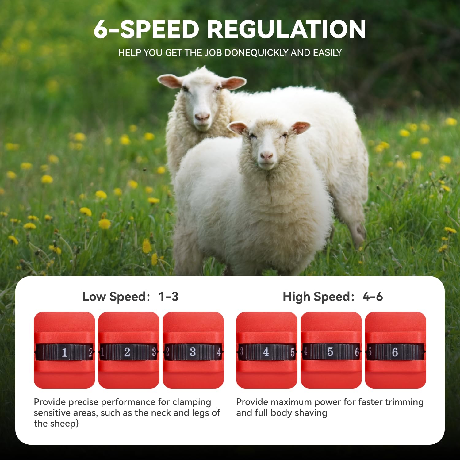 ONEVAN Tosatrice per pecore a batteria, tosatrice elettrica 500 W, 6 impostazioni di velocità, tosatrice elettrica a 13 denti, 2 batterie 3,0 Ah, tosatrice a batteria per pecore, alpaca (Rosso)