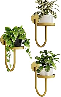 Bamworld Golden Hanging Plant Shelf Set