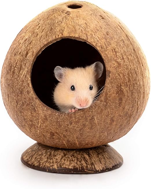 andwe Coconut Hut Hamster House Bed for Gerbils Mice Small