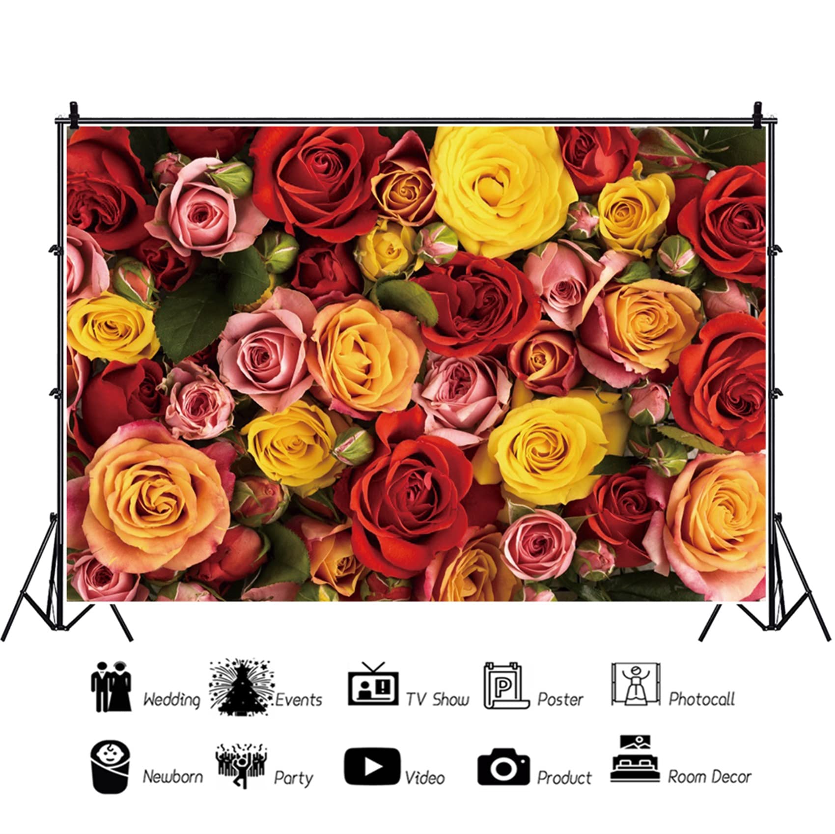 Party Photobooth Props 10x6.5'