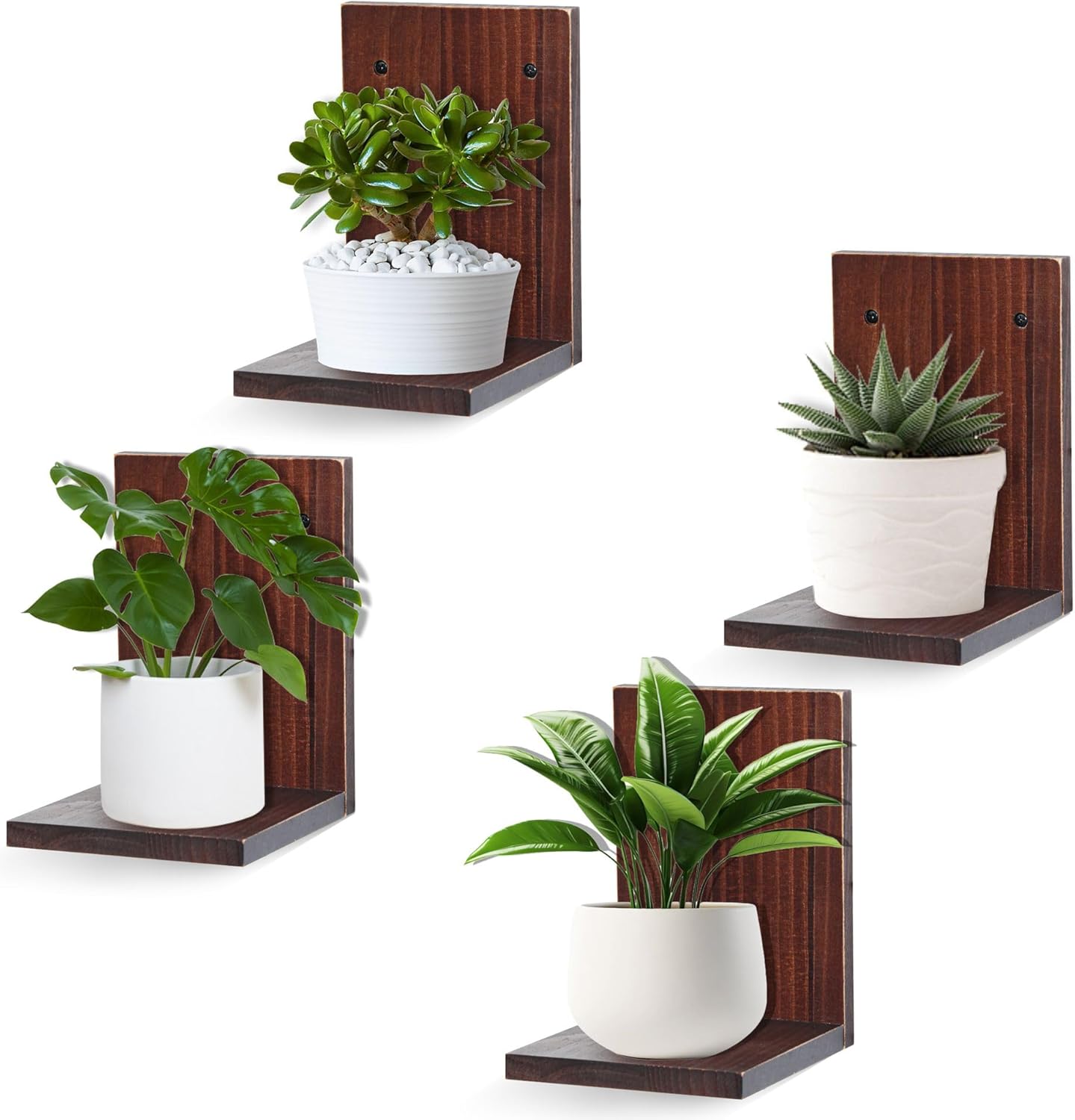 Small Wall Shelf Modern,Wooden Mini Floating Shelves,Indoor Wall Mounted Plants Shelf L Shaped,Midcentury Display Decorative Holder for Gallery Living Room Bedroom Porch,Pine,4 Pack(Rustic Walnut)