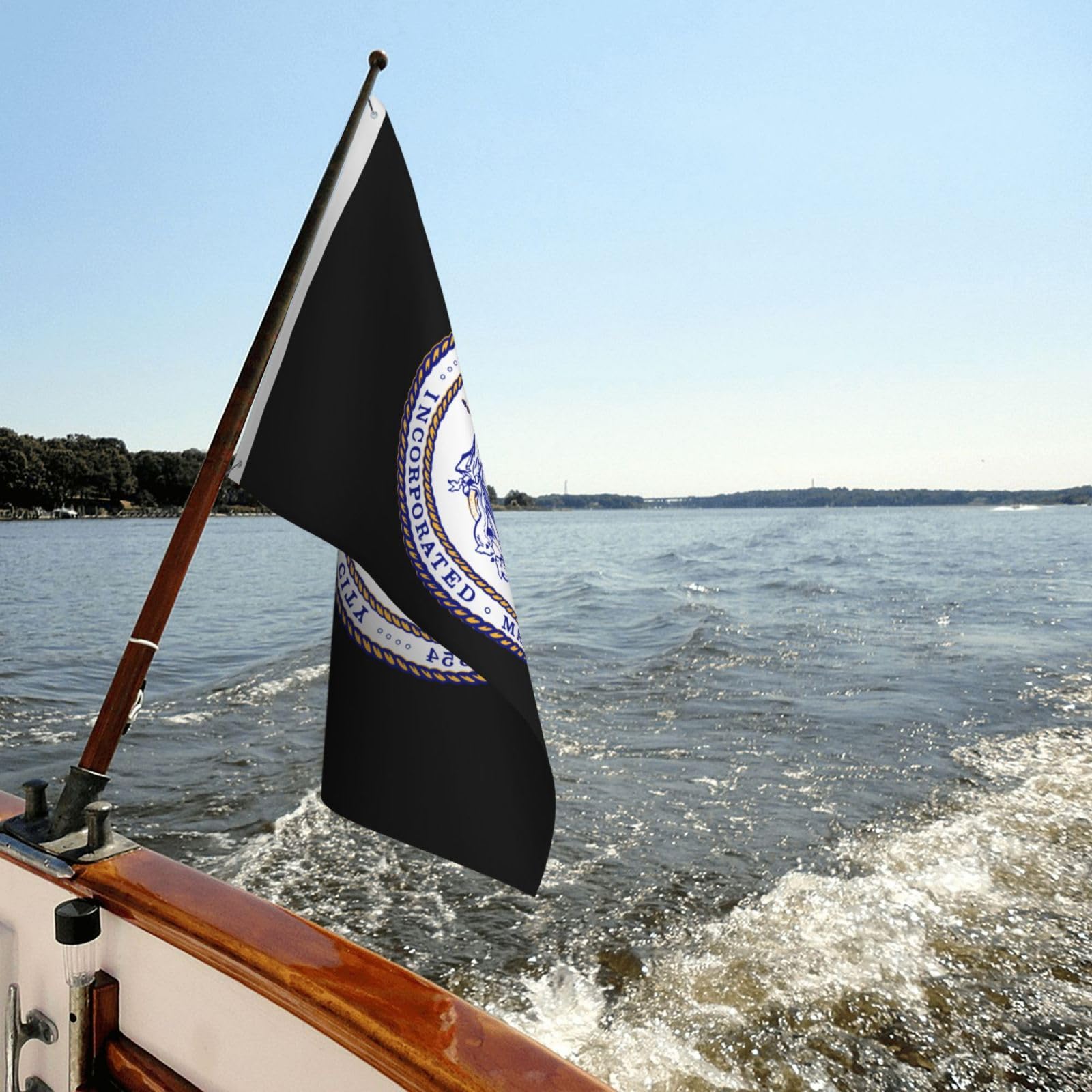 Porte Et Drapeau De Brandebourg En Allemagne | Vecteur Premium