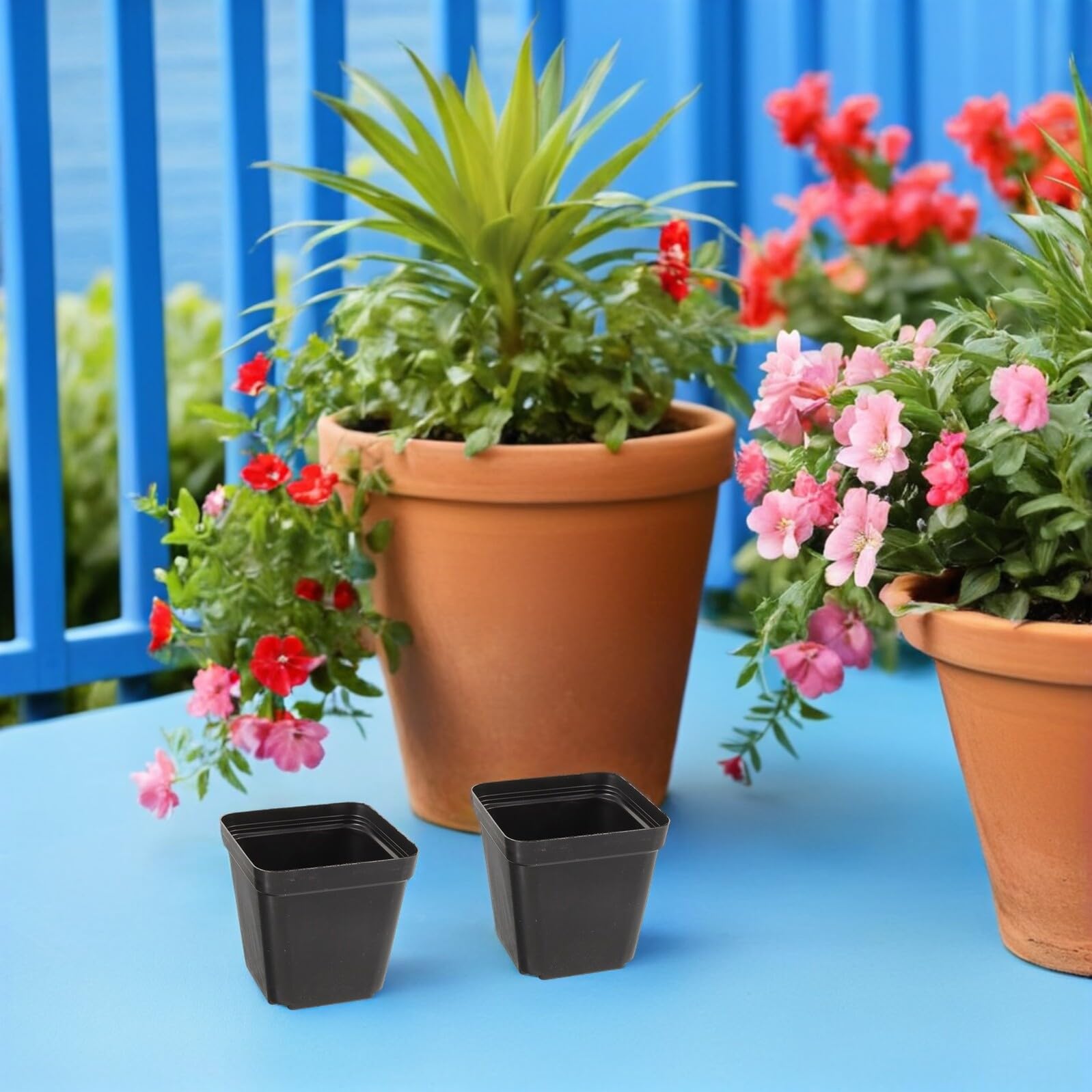 NUOBESTY 100 Pièces Lot de Pots Carrés Noirs pour Semis Pépinière Plastique Drainante pour Plantes Intérieur Succulentes et Boutures Conteneurs de Culture Compacte et Stables
