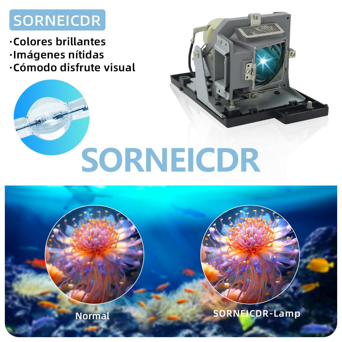 5J.J0705.001 Lampada proiettore di ricambio con alloggiamento per BENQ MP670, W600, W600+ Videoproiettore