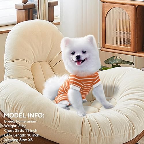 Miniatura 9 de TONY HOBY Pijama de perro para mascotas, pijama de perro de 4 patas con rayas, ropa de algodón suave para recuperación de cirugía (XL, rosa + niña