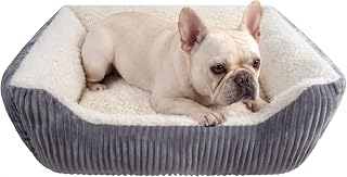 YUNIQUE Small Dog Bed - Plush Corduroy, Anti-Slip Bottom, Soft and Cozy for Dogs (Beige, S)