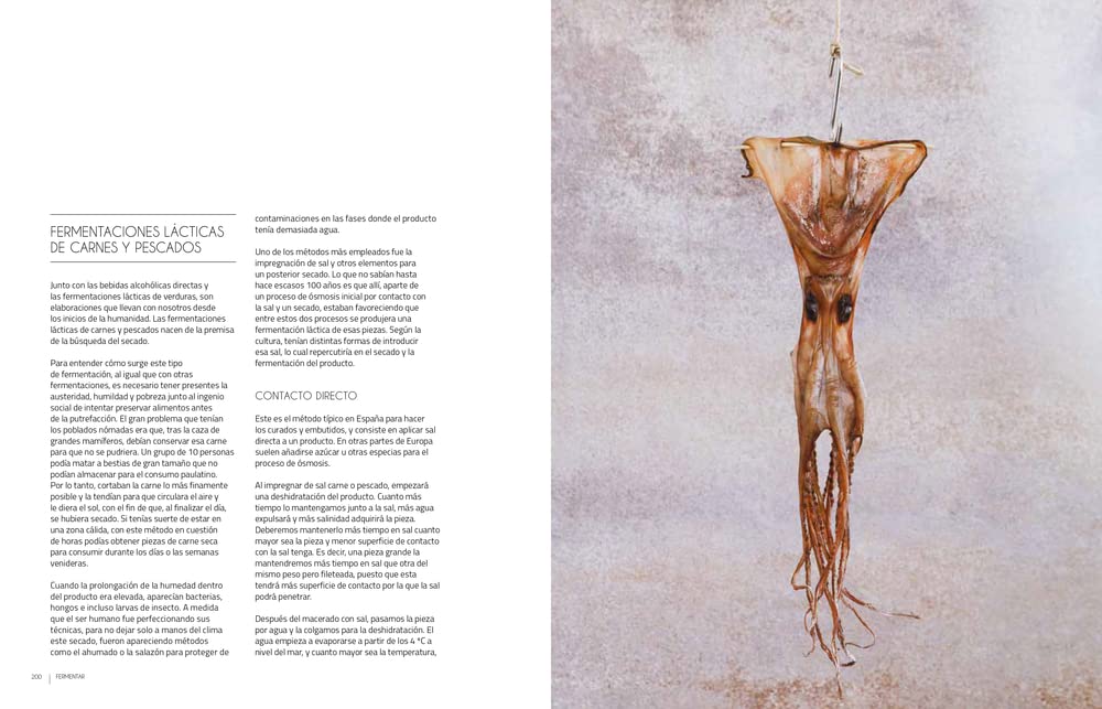 Fermentar. Fundamentos y técnicas de un arte milenario (COCINAS DEL MUNDO)