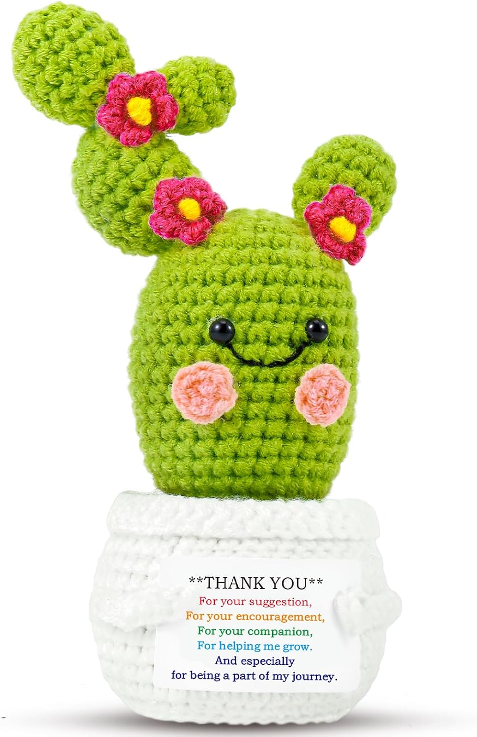 Positive Plant Thank You Gifts: Crochet Blooming Cactus Gifts for Women Friends Sister Birthday Mother's Day, Cute Funny Dolls with Inspirational Cards Office Plant Decors (Thank You)