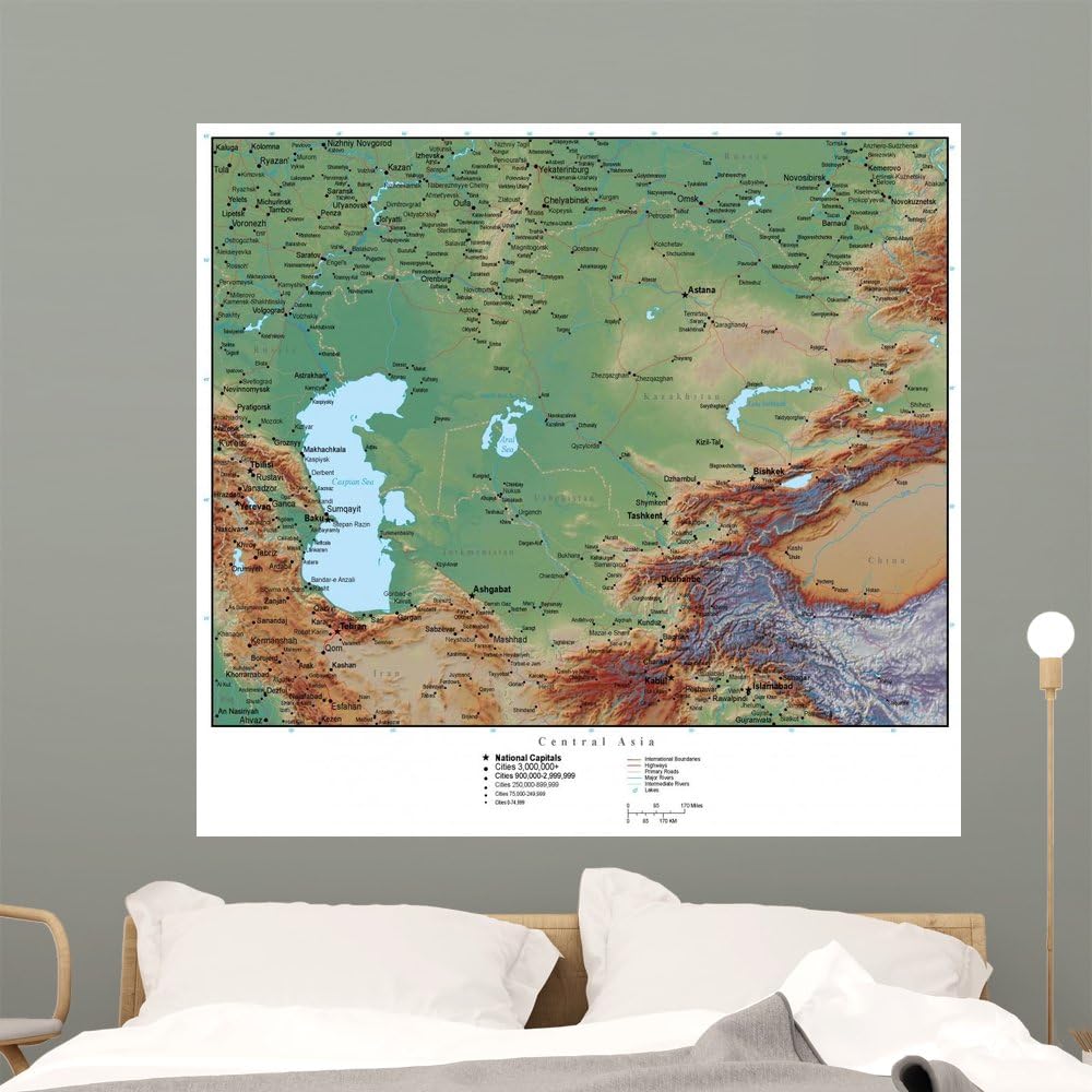Wallmonkeys Map Central Asia Wall Mural Peel and Stick Graphic (48 in W x 45 in H) WM165399