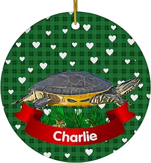 Rosemary Green Theme Design Chicken Turtle Personalized Name Christmas Ornaments 2025 Circle White Ceramic Pet Owner Gifts