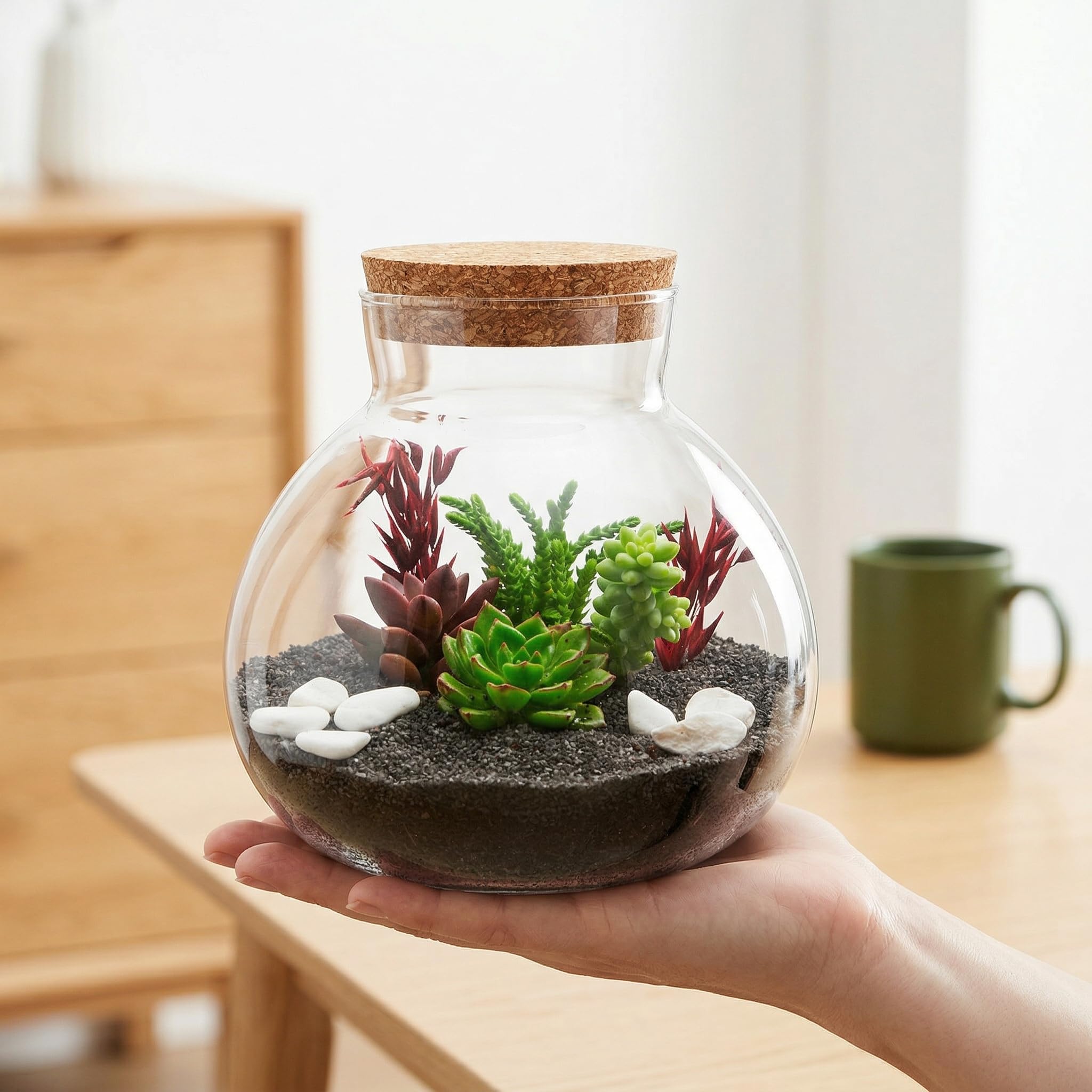 DOITOOL Pot rond en verre pour terrarium, plantes succulentes, bourgeons, vase à vœux, bouteille avec couvercle en liège, pot à bonbons, pot en verre pour fougère, mousse, plantes succulentes