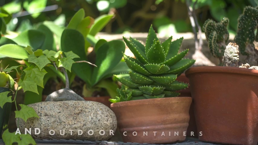 large hanging planters for indoor plants Hanging Planter
