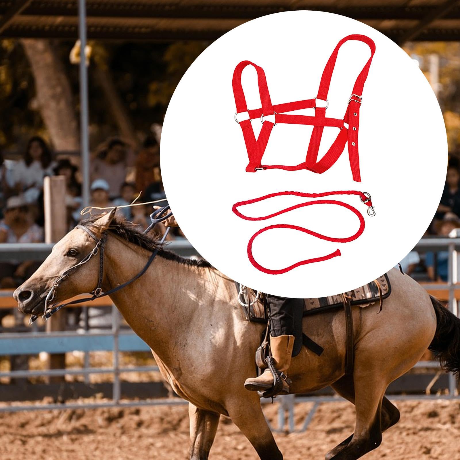 Cavezza per Cavallo con Corda, Cavezza Regolabile in Nylon, per Sport Equestri, Conduzione, Addestramento, Toelettatura, Viaggi, Proprietari, Uso Este