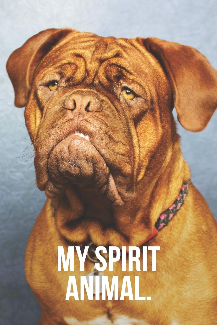 My Spirit Animal: Dogue de Bordeaux Journal