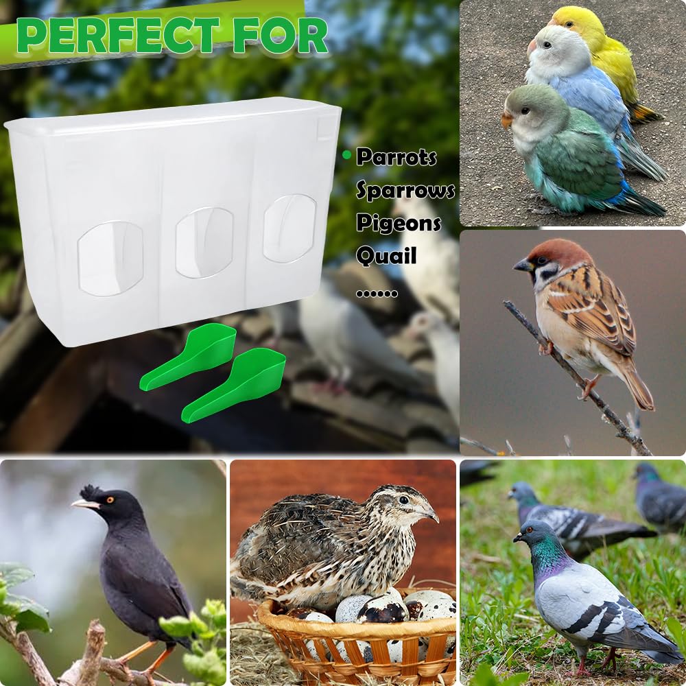 Mangeoire automatique en plastique pour pigeons, distributeur d'eau sans désordre à suspendre pour cage à oiseaux, perruches, cailles, oiseaux, poulet (design à 3 trous)