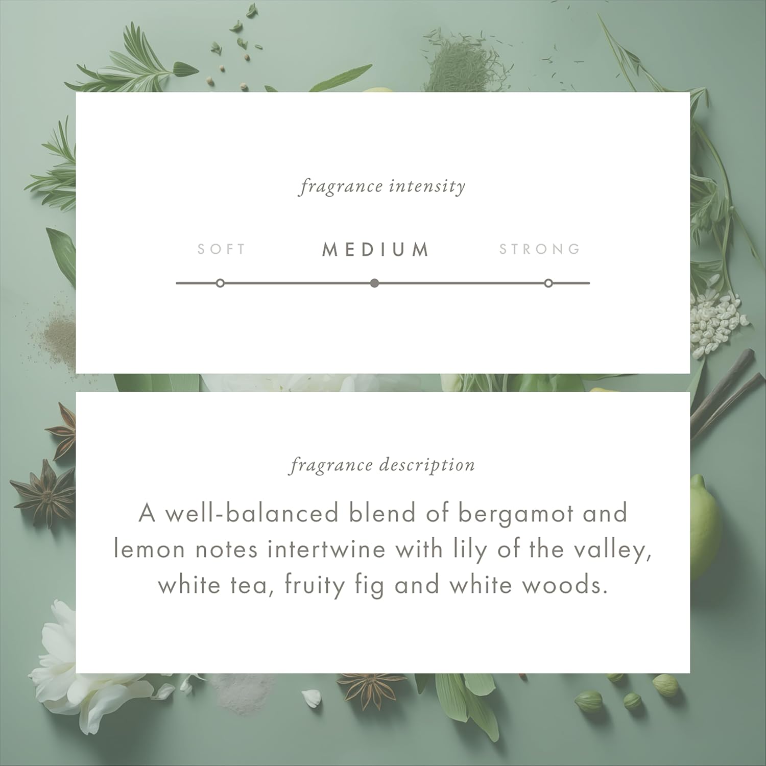 ScentAir Whisper Home Monthly Plug-in Refill, Fragrance Cartridge for Home and Office, White Tea & Fig - Image 4