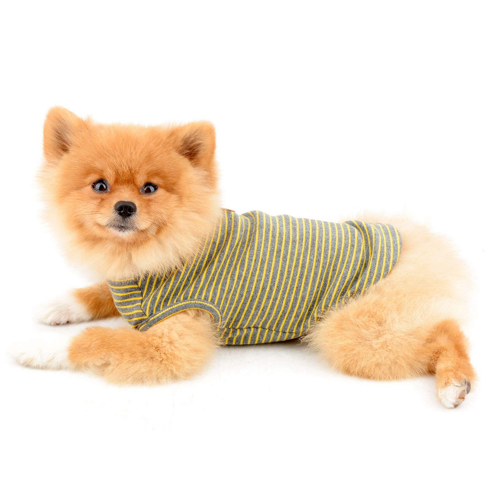 PAIDEFUL Chemise britannique pour petit chien rayée, gilet pour chat, T-shirt en coton doux pour garçon, vêtement pour animal de compagnie, Tee d’été pour chiot, Chihuahua, Yorkie, Débardeur