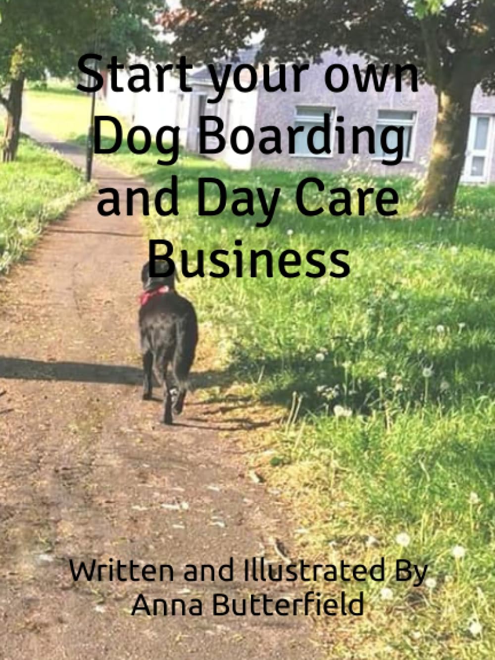 Start your own Dog Boarding and Day Care Business