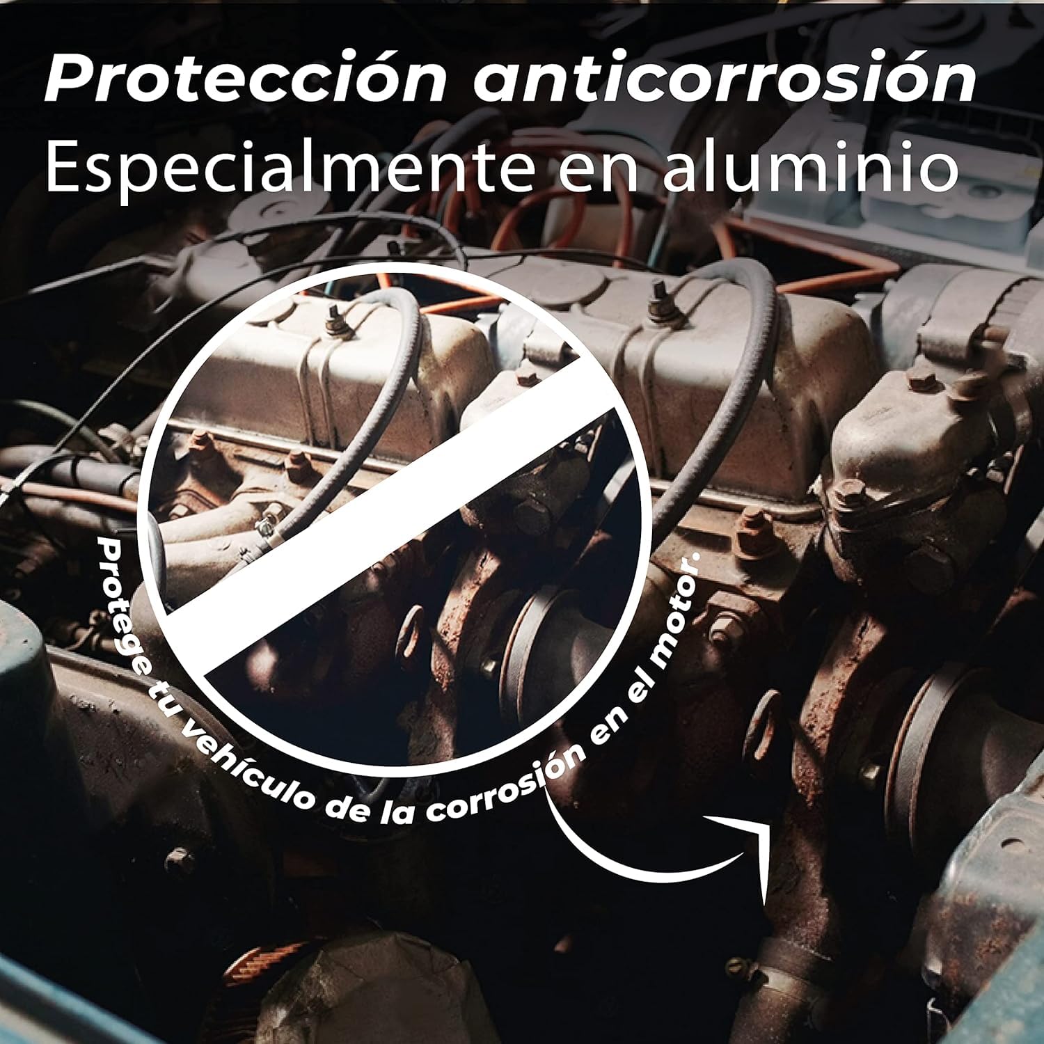 Anticongelante coche 50% G12 Protección -37º - 5 Litros Orgánico Long Life